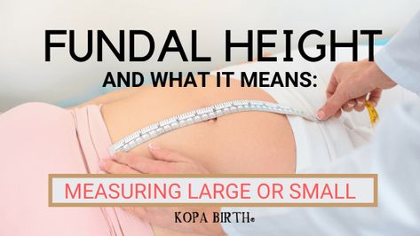 What does it mean if you're told you're measuring large or small? Let's explore what fundal height is and what it tells you about your baby. Fundal Height, Fundal Height Chart Pregnancy, Period Vs Pregnancy Symptoms, Early Signs Of Pregnancy, First Month Pregnancy Symptoms, 25 Weeks Pregnant, Very Early Pregnancy Symptoms, Amniotic Fluid, 32 Weeks Pregnant