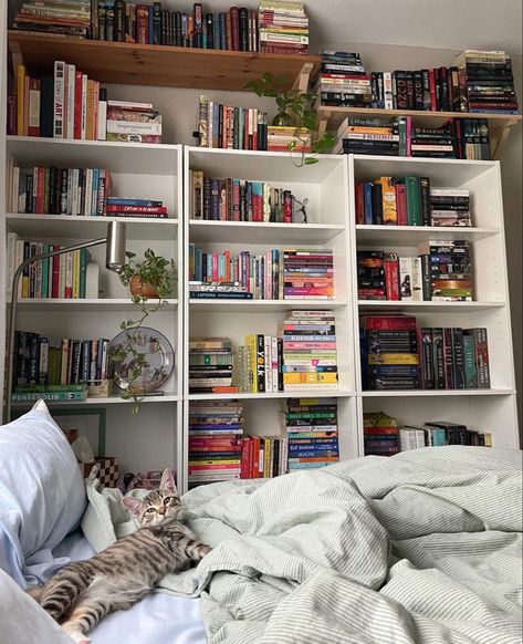 Reader Room Ideas, Aesthetic Book Shelf Organization, Bookshelves Inspo Aesthetic, Organized Bookshelves Aesthetic, Bookshelf In Room Aesthetic, Bedroom Library Ideas Reading Corners, Bedroom Library Aesthetic, How To Organize Bookshelf, Bookish Home Decor