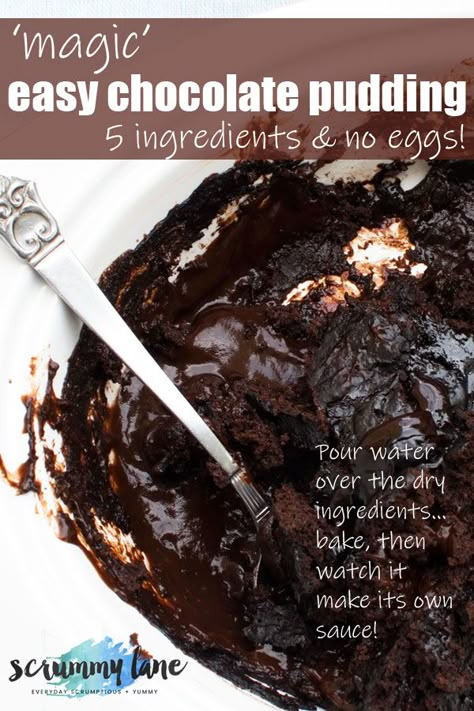 Welcome to your new favourite crowd pleasing dessert! You need just 6 ingredients to make this quick and easy chocolate self saucing pudding. Bonus - it's quite low in sugar and contains no eggs! #easychocolatedesserts #selfsaucingpudding #scrummylane #chocolate No Egg Pudding Recipe, Self Sauce Chocolate Pudding, Dessert No Eggs Easy, Easy Baked Pudding Recipes, Easy Puddings Quick, Chocolate Self Saucing Pudding Easy, Eggless Chocolate Pudding, Choc Pudding Cake, Quick And Easy Pudding Recipes