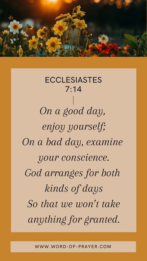 Find First Fifteen bible podcast at: https://www.buzzsprout.com/800360 Blog and more details at: www.word-of-prayer.com Bible verse: Ecclesiastes 7:14 (Message) #christian #reflection #ecclesiastes #bible Christian Reflection, Abc Of Salvation, Listening To God, Quiet Time With God, A Relationship With God, Ecclesiastes 7, Faith Stories, Studying Memes, Time With God