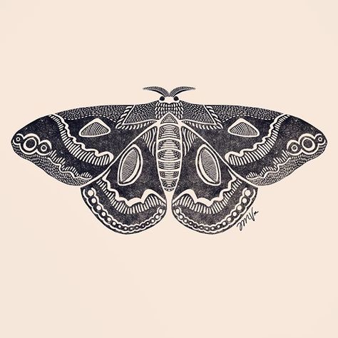 Art Deco Moth Tattoo, Folk Art Moth Tattoo, Linocut Moth, Moth Linocut, Traditional Moth Tattoo, Tattoos Abstract, Tattoos Japanese, Tattoos Watercolor, Moth Illustration