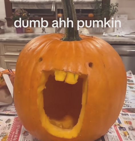 October Memes, Pumkin Carving, Halloween Pumpkin Carving Stencils, Pumpkin Carving Designs, Halloween Pumpkin Designs, Funny Pix, Funny Pumpkins, Very Funny Pictures, Pumpkin Faces