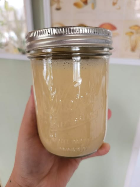 Vanilla Creamed Honey, Cinnamon Creamed Honey Recipe, How To Make Whipped Honey, Creamed Honey How To Make, Whipped Honey Recipe, Creamed Honey Recipe, Beeswax Crafts, Pickling Cucumbers Recipe, Honey Crystalized