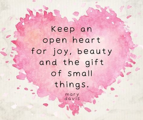 Feed the Spirit. Nourish the Soul. Find JOY in the little things. A Happy Heart makes a Happy life. Happiness is bringing JOY to others. Give more than you take. Be a rainbow in someone else's cloud. Spread LOVE wherever you go. BE KIND. BE BLESSED. GigiLynn  NOT MY IMAGES! Unless otherwise stated.. #souljoyfully  #wordstoremember #nourishthesoul #feedthespirit #upliftingquotes  #goodwords #wisdom #kindness #Happiness  #love #gratitude #joy #joyful #peace Finding Joy Quotes Inspirational, Simple Joy Quotes, Finding Joy Quotes, Stones Painting, Love Gratitude, Joy Quotes, Be Blessed, Find Joy, Happy Heart