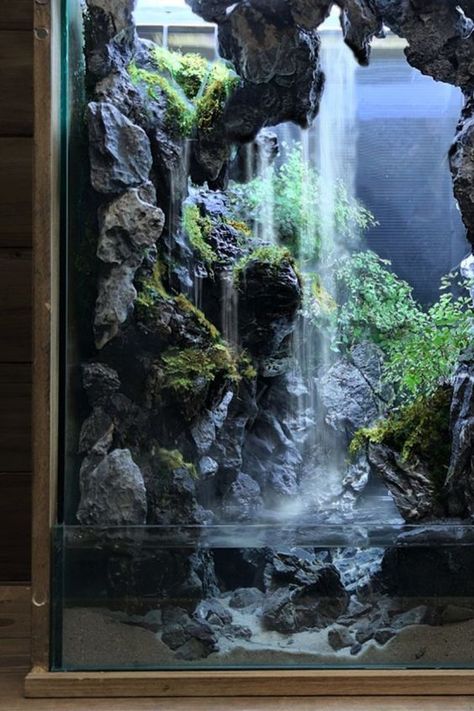 40 Gallon Freshwater Aquarium Ideas, Small Fresh Water Aquarium, Paludarium Diy How To Build, Paludarium Waterfall Aquascaping, Paladarium Design, Cave Terrarium, Large Terrarium Ideas, Diy Paludarium, Waterfall Paludarium