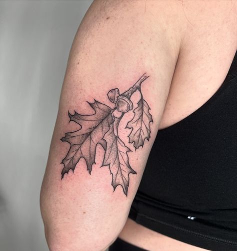 Northern Red Oak 🍂 { from my flash } #finelinetattoo #stippletattoo #illustrationtattoo #blackandgraytattoo #518tattoo #tattooartist #oakleaf #leaftattoo Red Oak Tattoo, Oak Leaves Tattoo, Maple Leaves Tattoo, Fall Leaf Tattoo, Oak Leaf Tattoo, Oak Leaf Tattoos, Northern Red Oak, Fall Leaves Tattoo, Red Oak Leaf