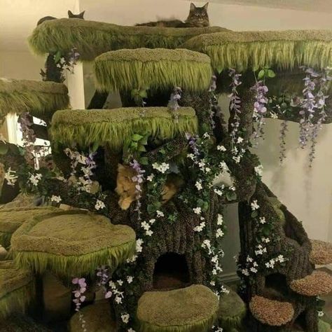 Cherrie White Mayer (@glitterophelia) • Instagram photos and videos Cottage Core Cat, Jellyfish Hanging, Cottagecore Cat, Cat Castle, Modern Balcony, Rare Cats, Cat Room, About Time, Cat Tree