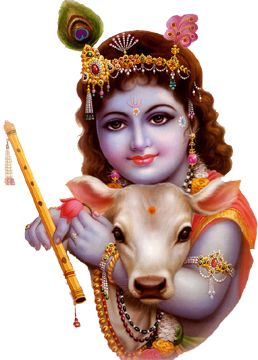 Shri Krishna Wallpaper, Shri Krishna, Krishna Wallpaper, Krishna, Cute Wallpapers, Cow, Wallpapers