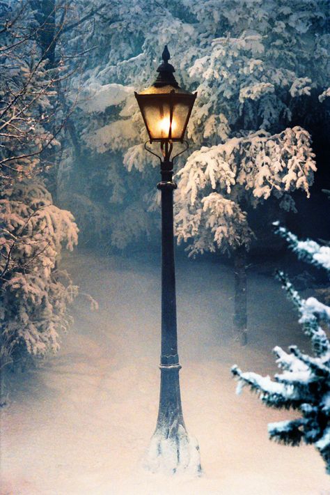 Narnia Lamppost in backyard garden Winter Szenen, I Love Winter, Winter Love, Chronicles Of Narnia, Winter Magic, Winter Scenery, Winter Beauty, Snow Scenes, Winter Pictures