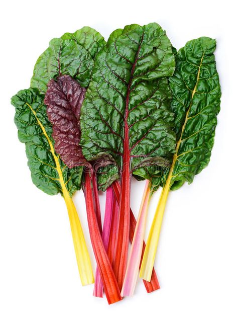 Swiss chard Rainbow. Mangold or Swiss chard 'Rainbow' leaves isolated on white , #Sponsored, #Rainbow, #chard, #Swiss, #Mangold, #white #ad Growing Swiss Chard, Rainbow Swiss Chard, Bearded Dragon Diet, Rainbow Chard, Barley Grass, Heirloom Vegetables, Fiber Rich, Swiss Chard, Greens Recipe