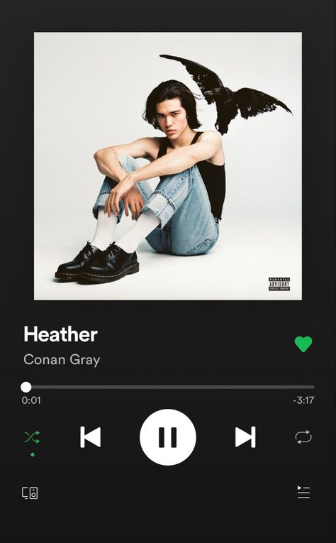 ✰ Heather ✰ By: Conan gray Heather By Conan Gray, Spotify Screenshot, Musica Spotify, Conan Grey, Conan Gray Aesthetic, Music Collage, Music Recommendations, Music Album Covers, Music Album Cover