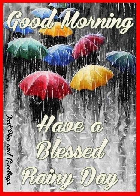 Rainy Morning Quotes, Rainy Day Images, Good Morning Rain, Rainy Good Morning, Good Morning Baby, Good Morning Rainy Day, Rainy Day Quotes, Say Good Morning, Quotes Good Morning