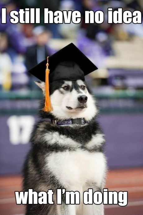 and this is me! ...i still have no idea what i'm doing Uw Graduation, Finally Graduated, College Graduate, Funny Dog Memes, Grad School, Story Of My Life, E Card, Laughter Is The Best Medicine, Graduation Cap