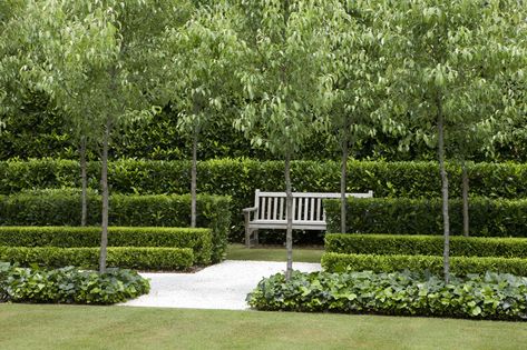 Classic French ...( Peter Fudge)...Fab!...LOVE love...love ...love ..love love!!  are hornbeams even conducive in nc climate,...hope so... Peter Fudge, French Formal Garden, Formal Garden Design, Formal Garden, Classic Garden, Formal Gardens, French Garden, Garden Landscape Design, Garden Pool