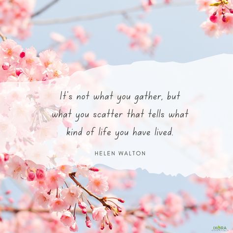 "It's not what you gather, but what you scatter that tells what kind of life you have lived." 💖 👉👉Follow us on Social Media for more great content❣️ #inspiration #success #motivate #motivationalquotes #inspirational #inspire #motivational #inspirationalquotes #ixoraessentials Follow Us On Social Media, Content Inspiration, Say What You Mean, Quote Life, Living Well, Follow Us, Motivational Quotes, Life Quotes, Inspirational Quotes