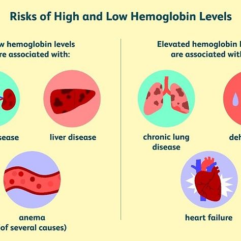 Blood Physiology, Hemoglobin Levels, Iron Deficiency, Lung Disease, Red Blood, Red Blood Cells, Blood Cells, Lungs, Word Doc