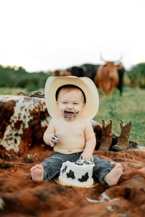 First birthday smash cake idea
Cow smash cake 
Cows Steak And Potato Smash Cake, Smash Photoshoot First Birthdays, First Birthday Cowboy Photoshoot, One Year Old Western Photoshoot, Rodeo First Birthday Pictures, Cowboy First Birthday Photo Shoot, My First Rodeo Birthday Photoshoot, First Rodeo Birthday Photoshoot, Rib Smash First Birthday