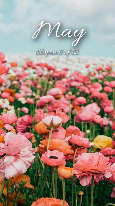 May Chapter 5 Of 12 Wallpaper, April Chapter 4 Of 12 Wallpaper, May Chapter 5 Of 12 Month, May Chapter 5 Of 12, March Chapter 3 Of 12, May Aesthetic Month, May Background, Months Wallpaper, Hello January Quotes