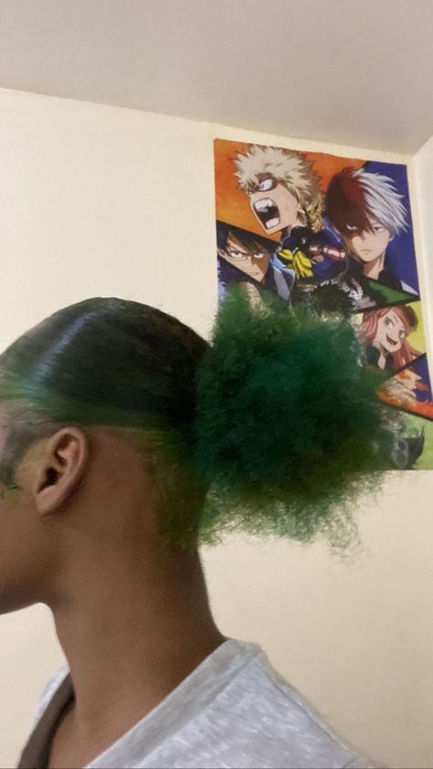 Emerald Green Skunk Stripe Hair, Different Hair Dye Colors, Blue Face Girlfriend, Peekaboo Hair Color Brown Skin, Green Peak A Boo Hair, Peak A Boo Braids Black Women, Peekaboo Hair Color Black Women Natural Hair, Peekaboo And Skunk Stripe, Green Hair Color Black Women