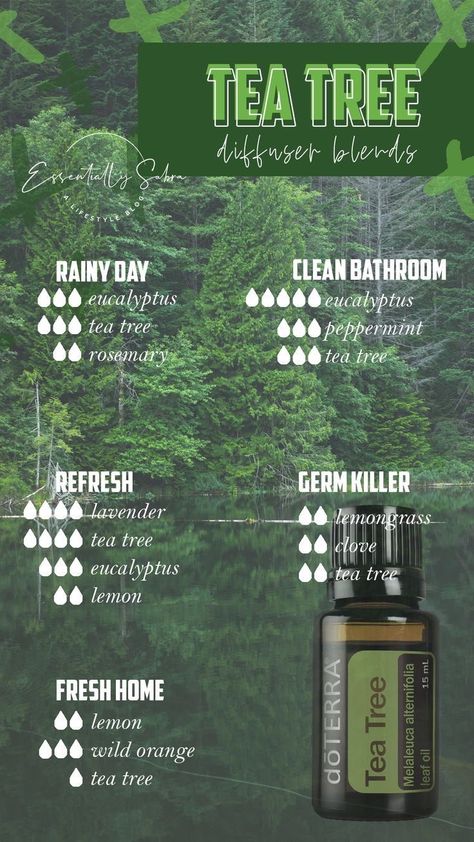 Tea Tree Diffuser Blends, Doterra Tea Tree, Melaleuca Essential Oil, Doterra Diffuser Blends, Essential Oil Combinations, Doterra Essential Oils Recipes, Essential Oil Diffuser Blends Recipes, Essential Oil Remedy, Young Living Essential Oils Recipes