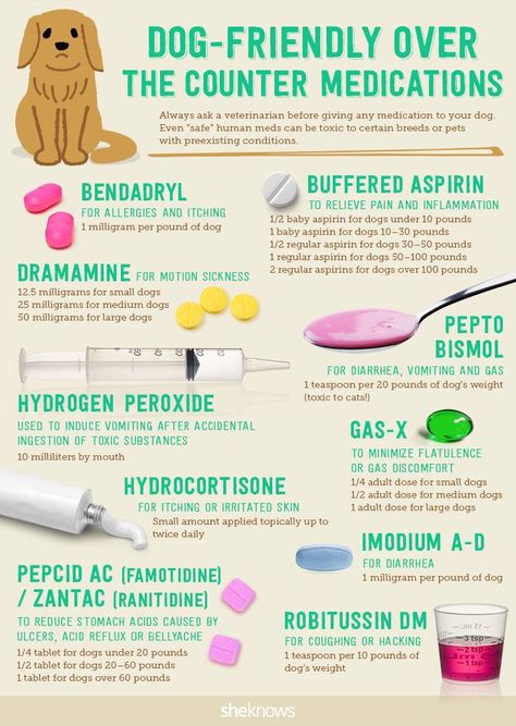 Dog friendly medications. I even had my vet take a look at the list to assure me they were all OK to use. Baby Aspirin For Dogs, Aspirin For Dogs, Meds For Dogs, Dog Medicine, Dog Remedies, Fu Dog, Akita Dog, Dog Info, Dog Care Tips