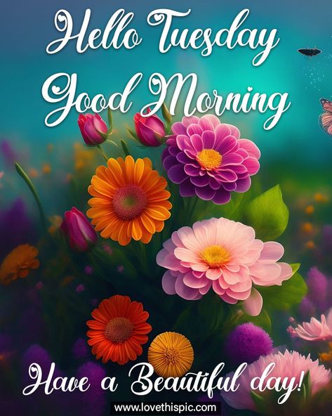 Hello Tuesday, Good Morning. Have A Beautiful Day Good Morning It's Tuesday, Have A Beautiful Day Images, Hello Tuesday Mornings, Hello Tuesday Quotes, Tuesday Blessings Mornings, Good Morning Tuesday Quotes, Monthly Greetings, Tuesday Morning Wishes, Tuesday Morning Quotes