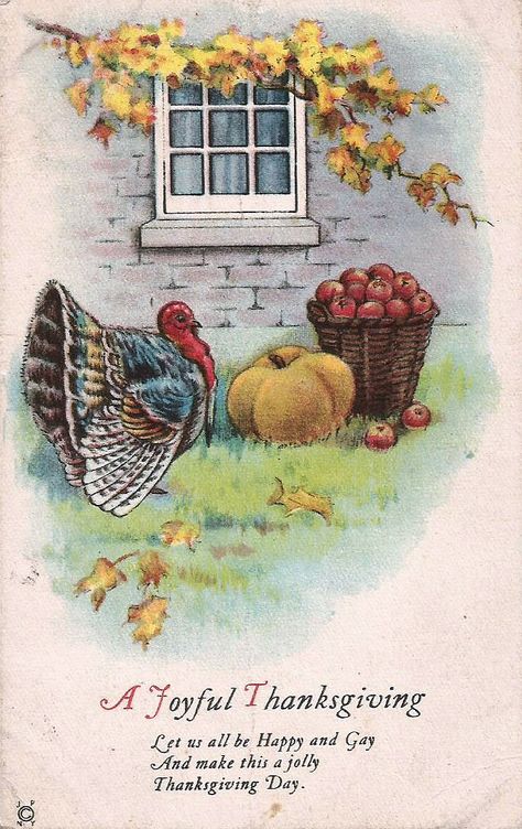 Vintage post card from 1924. This was found in a trunk in an old outbuilding at my house. Vintage Thanksgiving Greeting Cards, Vintage Thanksgiving Greetings, Vintage Thanksgiving Cards, Thanksgiving Post, Pumpkin Basket, Turkey Pumpkin, Thanksgiving Greeting, Apple Baskets, Thanksgiving Greeting Cards