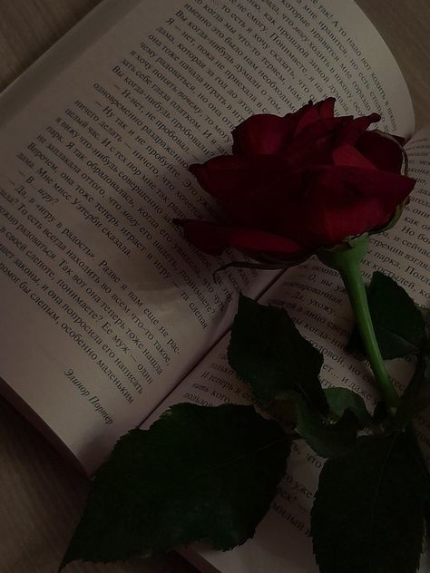 Book with rose Book Aesthetic, Red Rose, Romance, Red