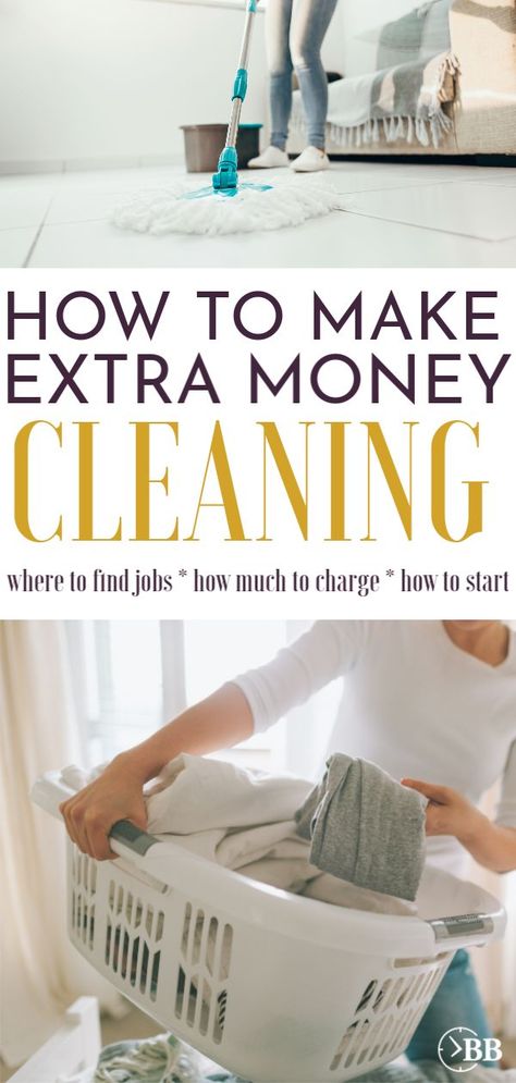 Small Cleaning Business, Housecleaning Business, Housekeeping Business, Cleaning Dryer, Busy Budgeter, Cleaning Lady, Enough Money, Start Cleaning, Cleaning Companies