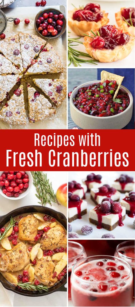 Recipes Using Fresh Cranberries, Cranberry Recipes Easy, Cranberry Recipes Healthy, Cranberry Recipes Dessert, Fresh Cranberry Recipes, Cranberry Dessert, Easy Holiday Desserts, Holiday Favorite Recipes, Easy Holiday Recipes