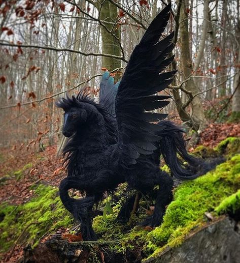 Accounts To Follow On Instagram, Black Pegasus, Mystical Animals, Fantasy Art Dolls, Cute Fantasy Creatures, Pet Fish, Fantasy Creatures Art, Animal Statues, Mythical Creatures Art