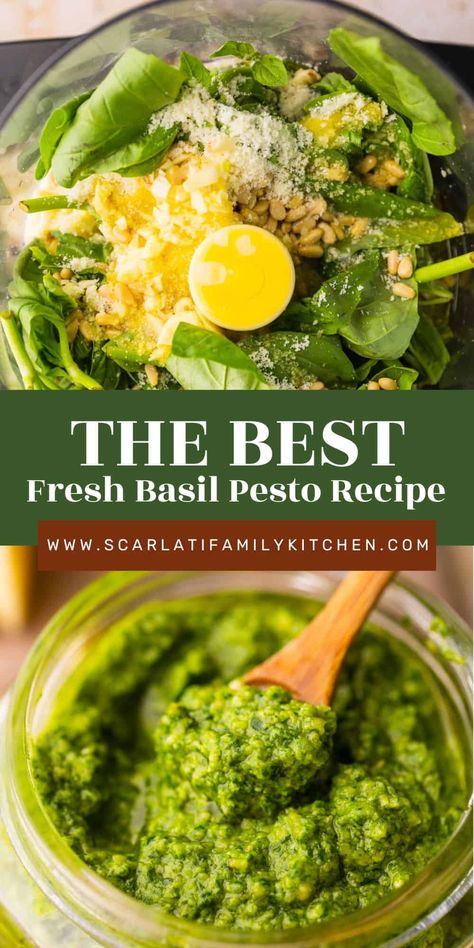 Homemade Fresh Basil Pesto or Pesto all Genovese can be made in 5 minutes with only 7 ingredients. It's great for pizza, pasta and so much more! Fresh Pesto Recipe, Fresh Basil Pesto Recipe, Fresh Basil Recipes, Fresh Basil Pesto, Homemade Basil Pesto, Basil Pesto Recipe, Homemade Pesto Recipe, Basil Pesto Recipes, Homemade Sauce Recipes