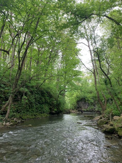 Ohio Summer Aesthetic, Property Manifestation, Green Screensaver, Ohio Aesthetic, Aesthetic River, Norwalk Ohio, Ohio Hiking, Summer Vision, 2024 Inspiration