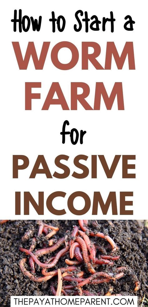 How To Raise Worms, Homesteading Money Making, How To Start A Worm Farm Composting Bins, Hobby Farm Side Hustle, How To Build A Worm Farm, Easy Worm Farm, Profitable Small Farm Ideas, Farm Income Ideas, Worm Farming For Profit