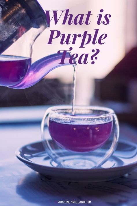 Purple tea is a new type of tea that's sourced from the same plant as green, oolong, and black tea. Purple tea contains a lot of antioxidants that may have several health benefits. Purple Tea Party, Types Of Teas, Oolong Tea Benefits, How To Make Purple, Tea Blending, Suburban Homestead, Kenyan Tea, Grape Tea, Type Of Tea