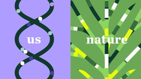 Nature.org — Regenerative Food Systems | Episode #4 on Behance Dna Design Graphics, Dna Graphic Design, Iq Logo, Nature Graphic Design, Energy Illustration, Growth Design, Regenerative Design, Dna Logo, System Design