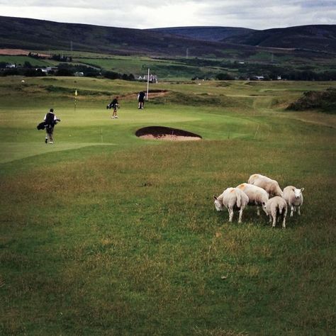 Scotland Golf, Golf Trips, Scotland Tours, Golf Digest, Golf Trip, Vintage Golf, Golf Resort, British Isles, Pga Tour