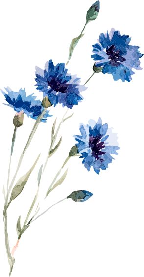 Blue Painting Watercolor, Cool Flowers Drawings, Painted Flowers Watercolor, Blue Flowers Watercolor Painting, Paintings Of Blue Flowers, Watercolour Blue Flowers, Flowers Drawings Aesthetic, Painting Flowers Watercolor, Cornflowers Drawing