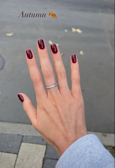 Meadows Aesthetic, Deep Red Nails, Wine Nails, Maroon Nails, Autumn Breeze, Hello Nails, Changing Leaves, Red Nail, Fall Time