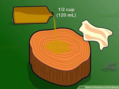 Tree Stumps Diy, Tree Stump Furniture, Tree Stump Decor, Modern Woodworking, Tree Stump Table, Lumber Yard, Awesome Woodworking Ideas, Stump Table, Wood Stumps