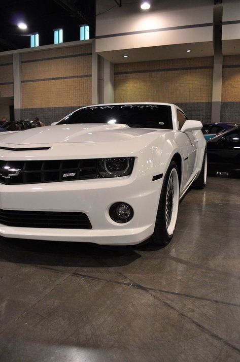 White Camaro, Mustang Car Aesthetic, 2022 Ford Mustang, Mustang Car, Ford Mustang Car, Car Aesthetic, Super Car, Ford Mustang Gt, Car Girls