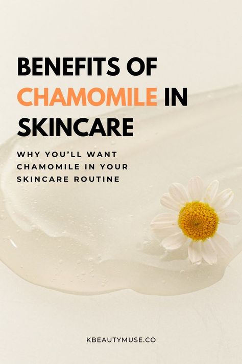 Chamomile For Skin, Chamomile Oil Health Benefits, Chamomile Skin Benefits, Chamomile Oil Benefits, Skincare Books, Chamomile Hair, Heal Inflammation, Benefits Of Chamomile, Chamomile Tea Benefits