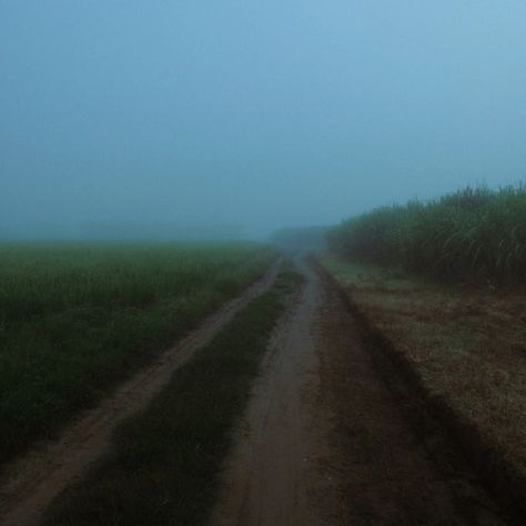 Liminal space 🛸 #photography #visual #liminalspace #art #fog #moody #moodygrams Beautiful Liminal Spaces, Thought Provoking Photography, Creepy Liminal Spaces, Liminal Landscape, Liminal Space Photography, Liminal Forest, Liminal Photography, Outdoor Liminal Space, Liminal Space Woods