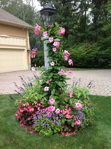 Front Lawn Lamp Post, Light Pole Flower Bed, Flower Bed Around Lamp Post, Outside Lamp Post Ideas, Lamp Post Flower Bed, Lampost Landscaping, Front Yard Lantern Post, Yard Lamp Post Landscaping, Landscaping Around A Lamp Post