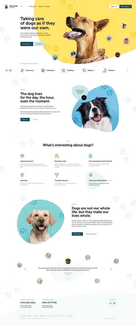 Dashboard Design, Trendy Website Design, Pet Websites, Layout Site, Pet Branding, Desain Ui, Webpage Design, Custom Website Design, Website Design Layout