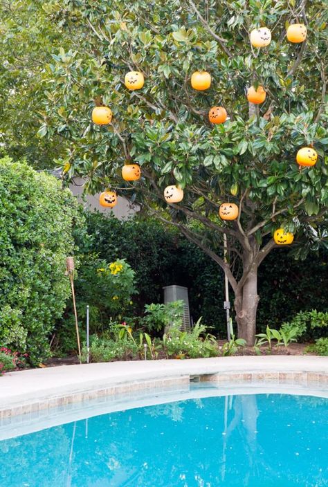 10 Totally Unique, Stylish & Steal-Worthy Halloween Decorating Ideas | Apartment Therapy Halloween Ideas, Decoration Ideas Apartment, Basket Decoration Ideas, Halloween Tree Decorations, Halloween Decorating Ideas, Pumpkin Tree, Halloween Outside, Outdoor Trees, Halloween Lanterns