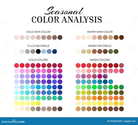 Seasonal Color Analysis Palette with Cold and Warm Color Swatches for Every Color, Neutrals, Skin Shades Vector Cold Neutral Color Palette, Color Analysis Palette, Cold Skin Tone, Warm And Cold Colours, Seasonal Color Analysis, Warm Undertone, Every Color, Blue Makeup, Color Analysis