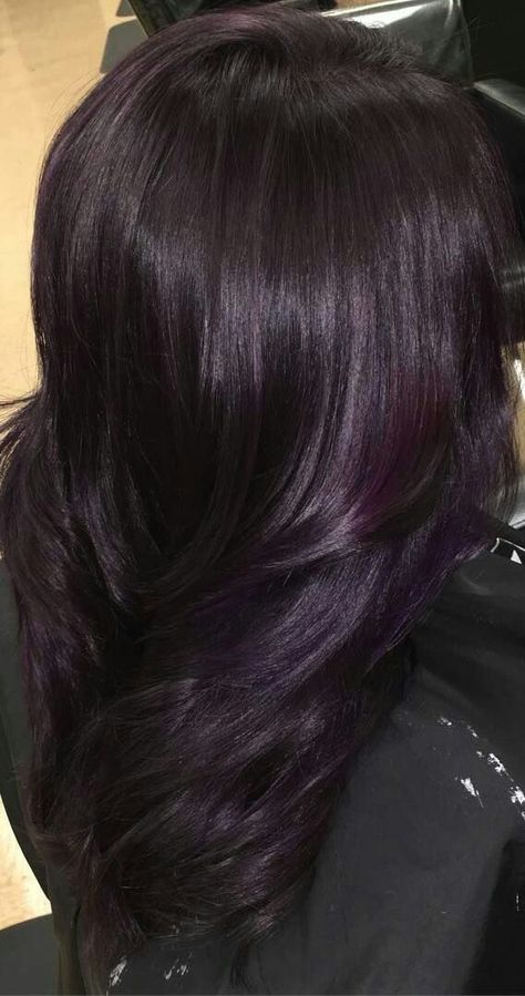 Dark Dark Purple Hair, Purple Over Brown Hair, Hair Inspo Color Long, Black Hair With Purple Tint, Different Hair Color Styles, Purple Hair Colour Ideas, Deep Blue Hair, Purple Hair Colour, Blackberry Hair Colour
