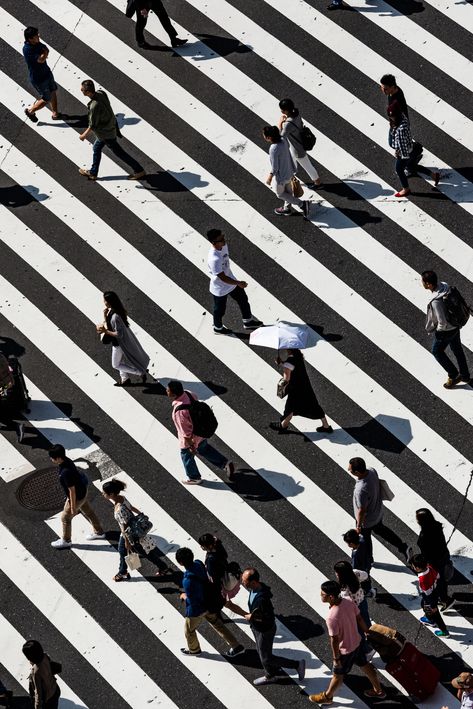 peoples walking on pedestrian lane Urban Pictures, Tokyo Shibuya, Japan Picture, People Pictures, People Walking, Perfect People, City Wallpaper, Jolie Photo, Download Free Images