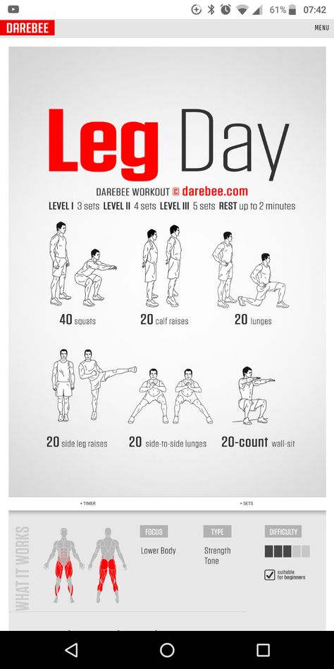 List Of Workouts Exercises, Easy Daily Workouts, Stamina Workout, Chemistry Between Two People, Quick Morning Workout, Calisthenics Workout Plan, Leg Day Workout, Gym Workout Guide, Workout Program Gym